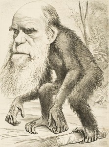 "A Venerable Orang-outang", a caricature of Charles Darwin as an ape published in The Hornet, a satirical magazine, 1872